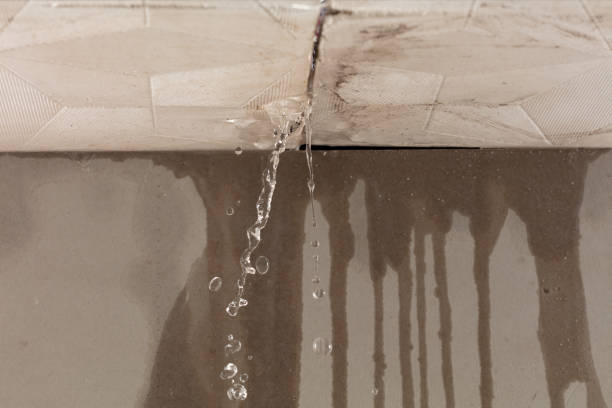 Professional Water Damage Repair technician working in Elyria, OH